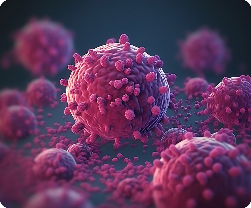 兔基因工程抗体定制