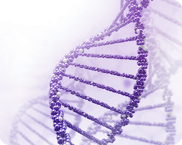 Pathological-Grade Antibodies for IHC